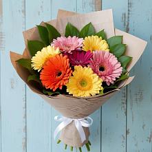 Букет цветов из:  Герберы #REPLACE_PRED# Богучаре