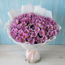 Букет цветов из:  Хризантемы в Богучаре
