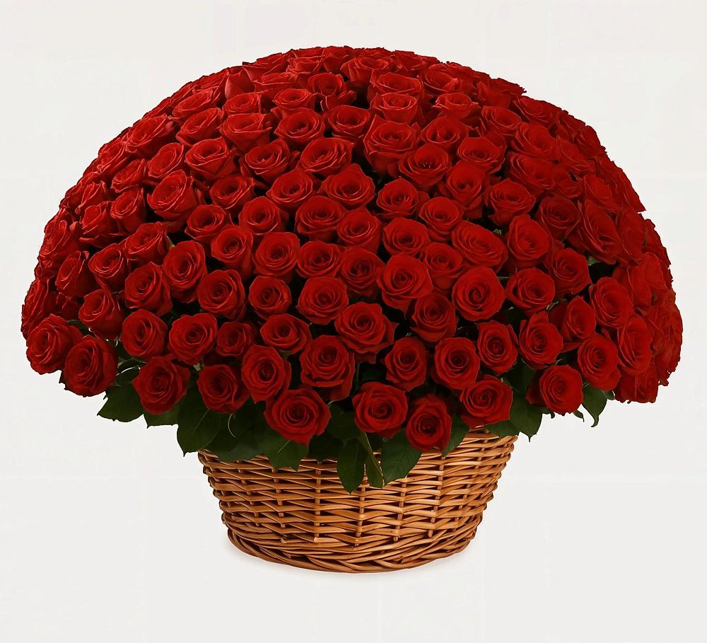 Премиум букет из: Розы в Богучаре