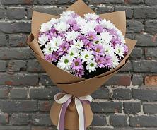 Букет цветов из:  Хризантемы #REPLACE_PRED# Богучаре