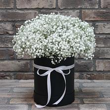 Цветочная композиция из Гипсофила в шляпной коробке в Богучаре