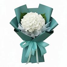 Букет цветов из:  Гортензия #REPLACE_PRED# Богучаре